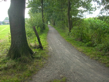 2008, Pad nach B